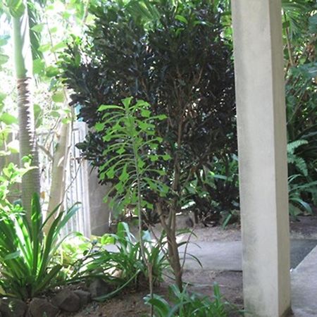Culture House Hotel Basseterre Exterior foto