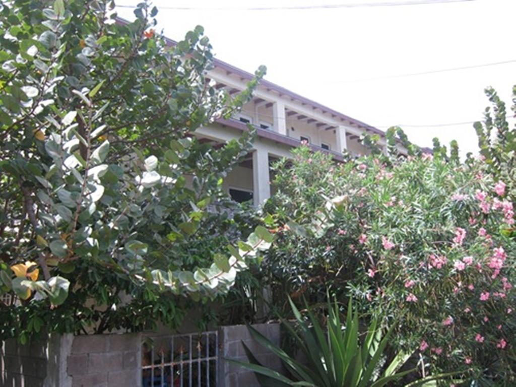 Culture House Hotel Basseterre Exterior foto